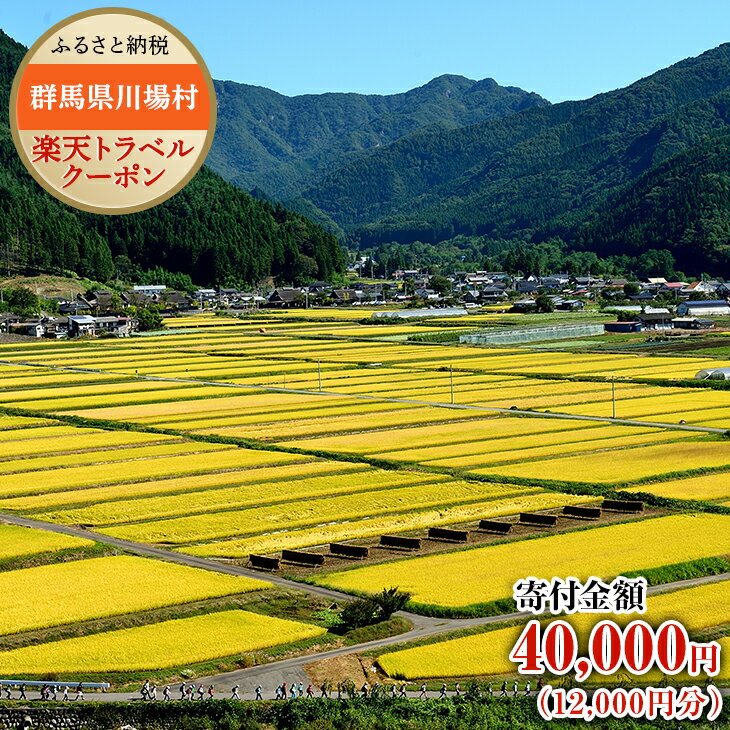 【ふるさと納税】群馬県川場村の対象施設で使える楽天トラベルクーポン　寄附額40,000円（クーポン額1...