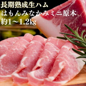 【ふるさと納税】生ハム ハム 肉 グルメ 熟成 原木 国産 ぐんま麦豚 育風堂精肉店 長期熟成生ハム 「はもんみなかみ」ミニ原木・1〜1.2kg