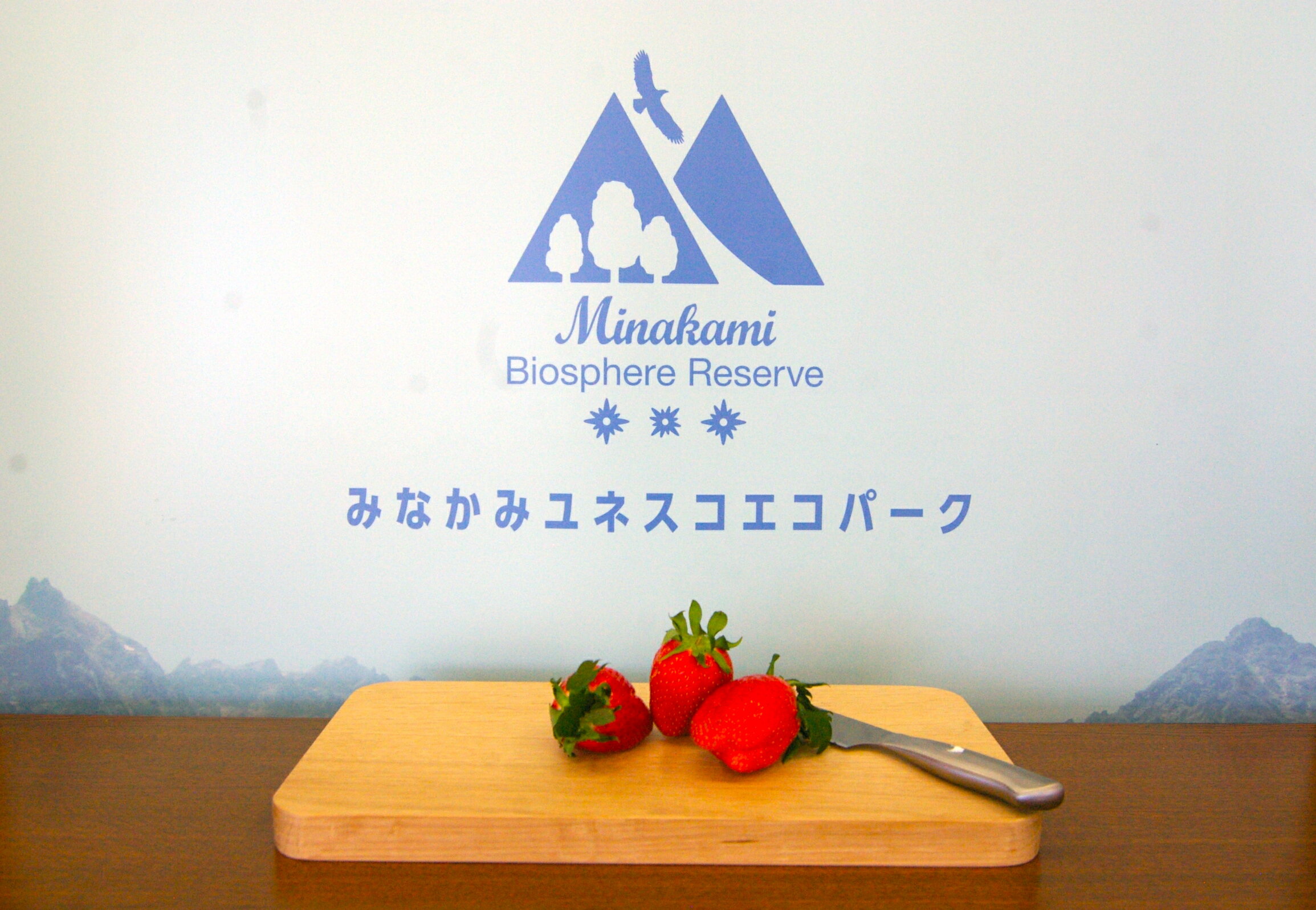 58位! 口コミ数「0件」評価「0」無有のまな板〈ロゴ無し〉（天然ナラ） スモーク用チップ付き