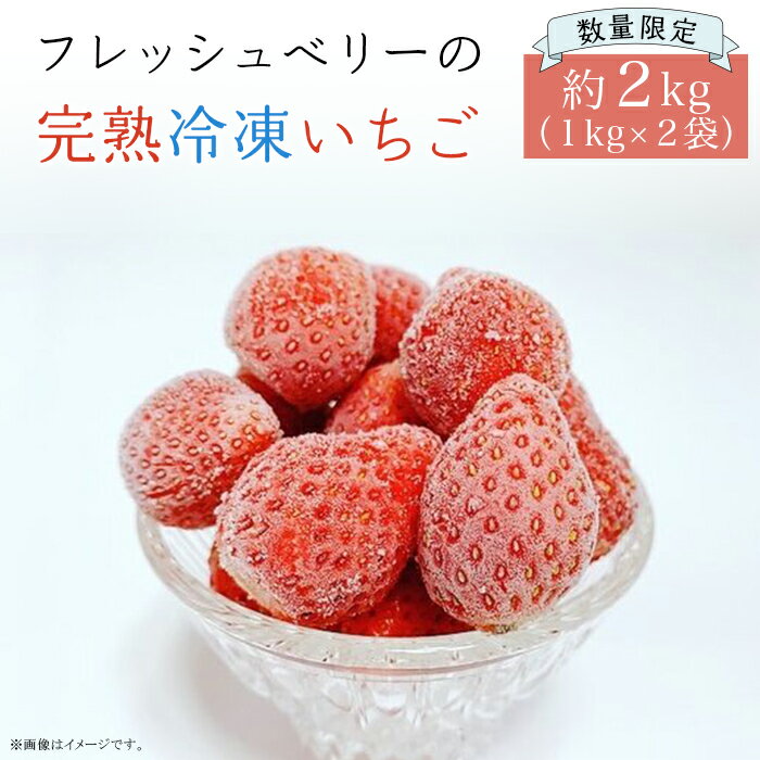 [数量限定!!]フレッシュベリーの完熟冷凍いちご!大中小サイズ混合約2kg(1kg×2袋)やよいひめ・かおり野・紅ほっぺ・もういっこ ≪イチゴ 苺 ジャム ヨーグルト おやつ≫