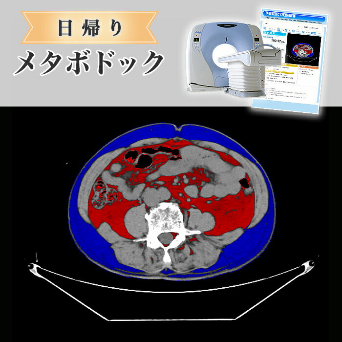 【ふるさと納税】日帰り【メタボドック】角田病院