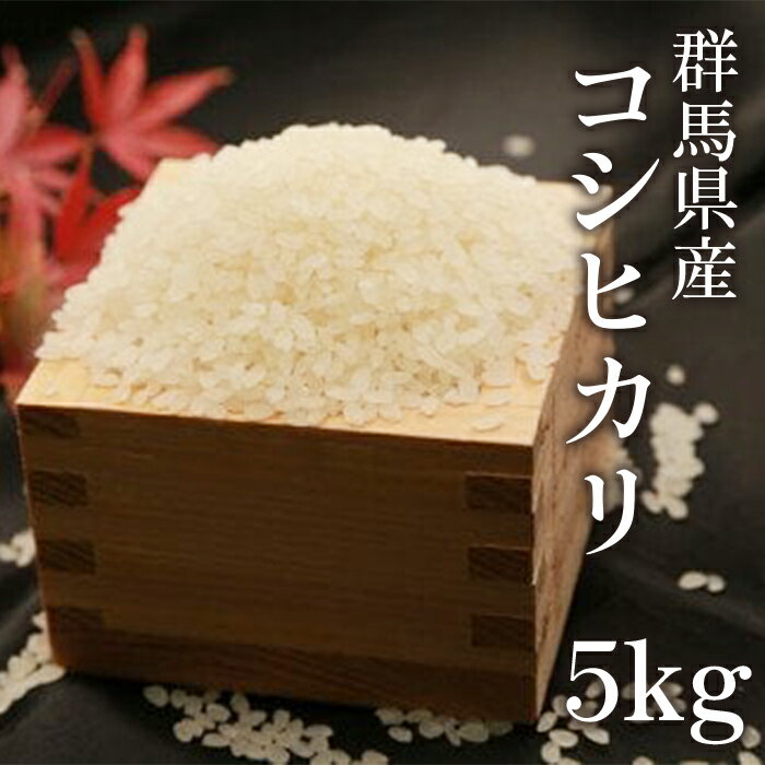 1位! 口コミ数「0件」評価「0」群馬県産コシヒカリ5kg