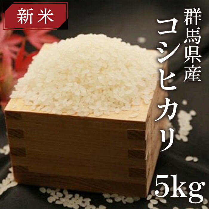 【ふるさと納税】群馬県産コシヒカリ5kg...