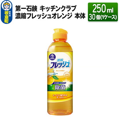 第一石鹸 キッチンクラブ 濃縮フレッシュオレンジ 本体 250ml×30個（1ケース）