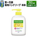 7位! 口コミ数「0件」評価「0」第一石鹸 薬用ハンドソープ 本体 250ml×24個（1ケース）