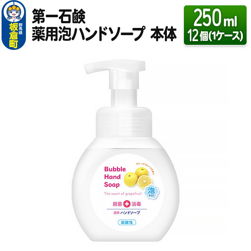 第一石鹸 薬用泡ハンドソープ 本体 250ml×12個(1ケース)