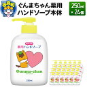 5位! 口コミ数「0件」評価「0」ぐんまちゃん薬用ハンドソープ本体(250ml)×24個入り