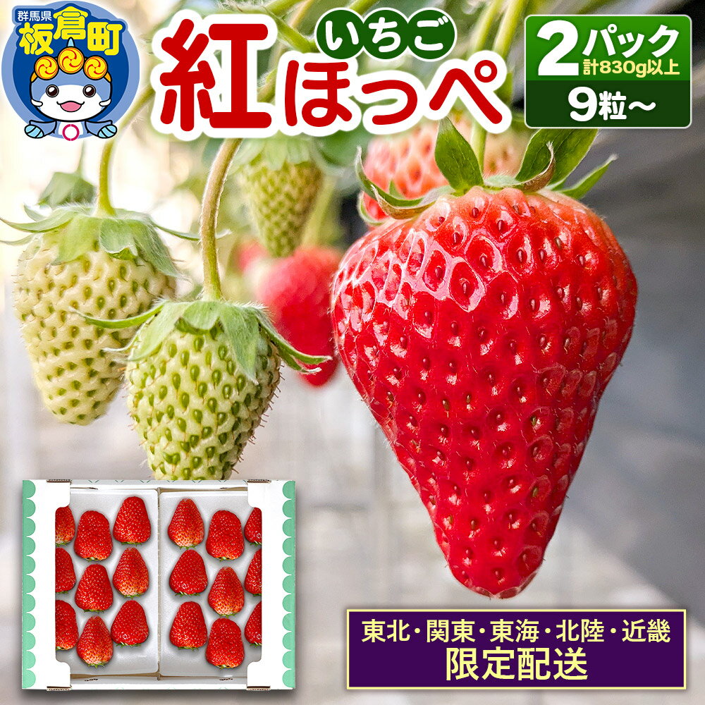 [東北・関東・東海・北陸・近畿 限定配送]いちご「紅ほっぺ」9粒〜 (2パック計830g以上)[12月中旬から順次発送]イチゴ 苺 あまい 1粒35g以上の特大粒を厳選 産地直送ならではの大きさと赤さ 一般市場には流通しない厳選のいちご 数量限定