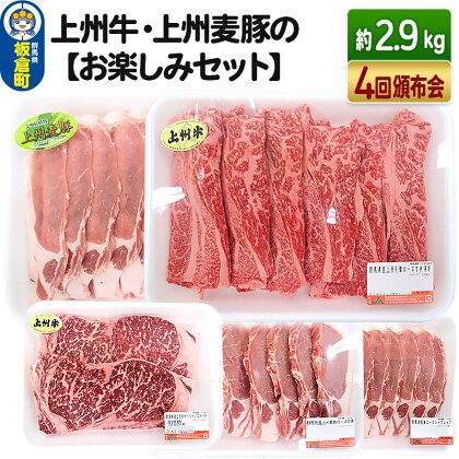 《定期便(頒布会)4回》上州牛・上州麦豚の【お楽しみセット】 ＜総量約2.9kg＞ 和牛ブランド ブランド豚 ごちそう お肉 牛肉 豚肉