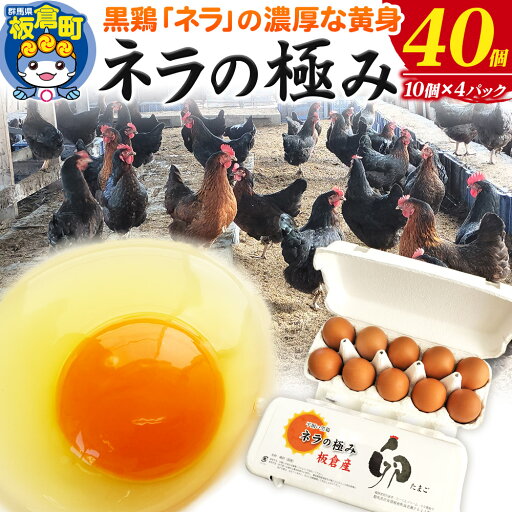 【ふるさと納税】ネラの極み 卵 たまご 40個(10個×4パック) 【ふるさと納税】ネラの極み 卵 たまご 40個(10個×4パック)