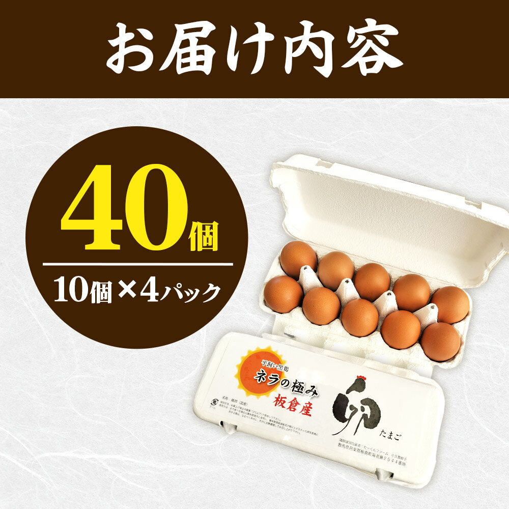【ふるさと納税】ネラの極み 卵 たまご 40個（10個×4パック）