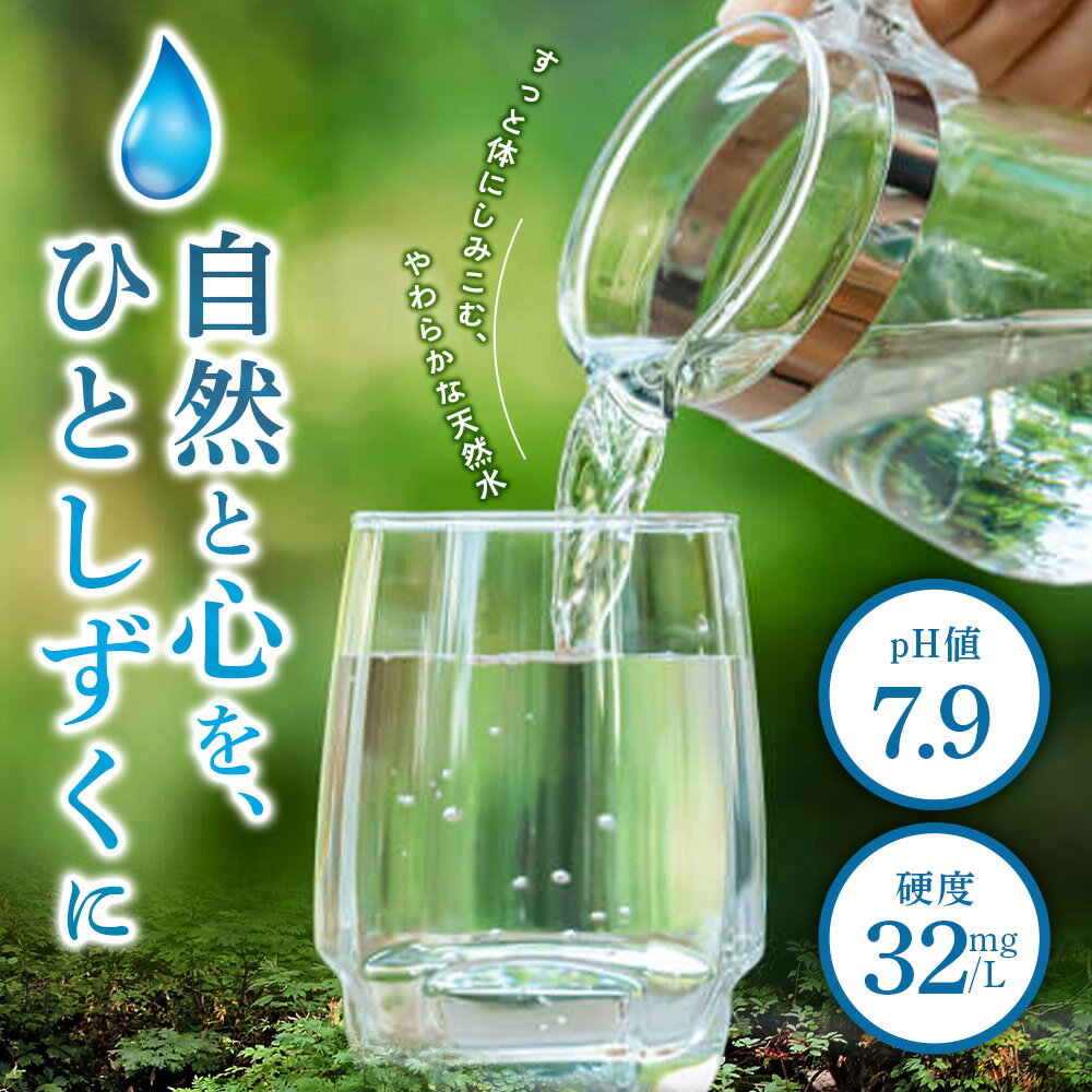 【ふるさと納税】水 【選べるお届け回数(定期便)】国産 ミネラルウォーター ピュアの森 500ml 24本×2箱 計48本 天然水 軟水 ペットボトル ラベルあり