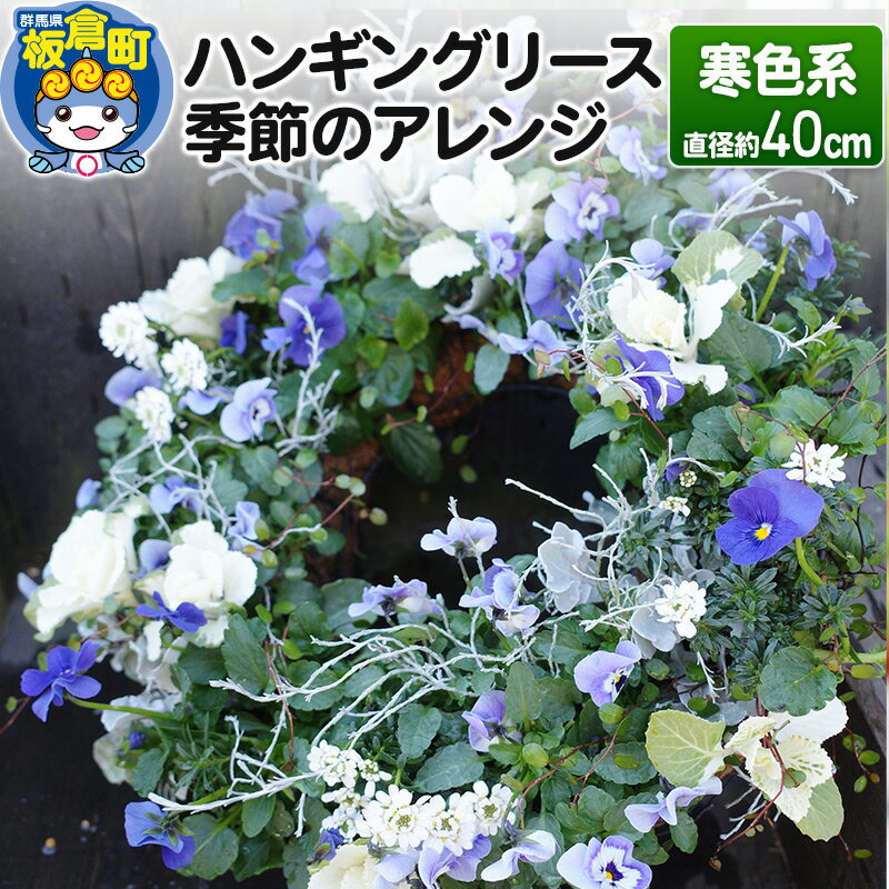 【ふるさと納税】ハンギングリース　季節のアレンジ (寒色系) 直径約40cm【生花 ビオラ インテリア 玄..