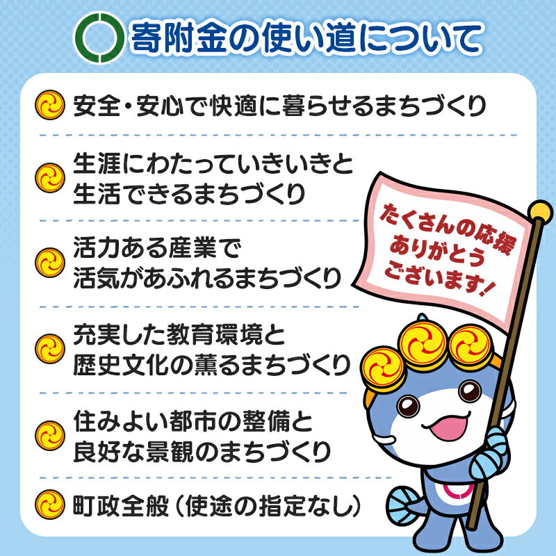 【ふるさと納税】第一石鹸 キッチンクラブ 過炭酸ナトリウム 500g×12個（1ケース） 3