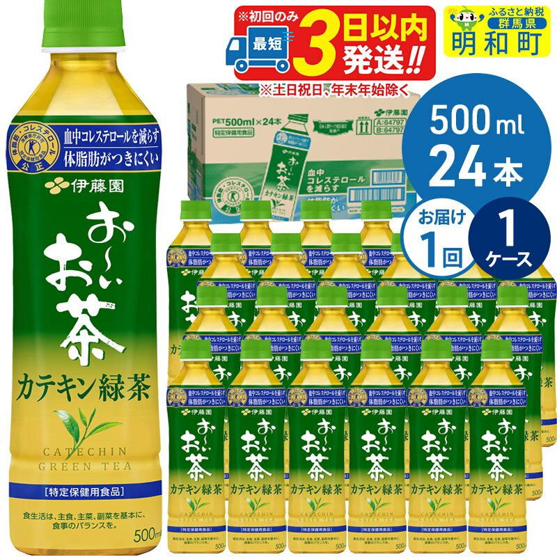 【ふるさと納税】伊藤園 お～いお茶 カテキン緑茶【特定保健用食品】500ml×24本【1ケース】