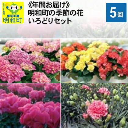 明和町の季節の花いろどりセット【年間5回お届け】