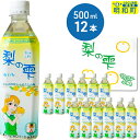 22位! 口コミ数「0件」評価「0」梨の雫めいわ【500ml×12本】