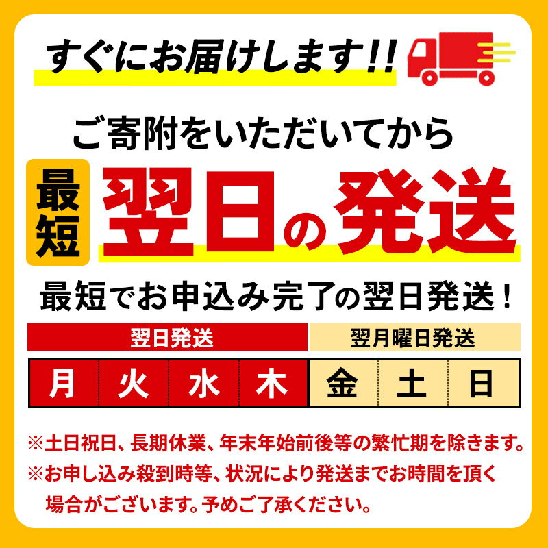 瓶ビール中瓶6本セット / アサヒ熟撰 ×3本・サッポロエビス×3本　500ml×6本セット　送料無料