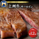 【ふるさと納税】牛肉 サーロイン 【上州牛】 約1.2kg (約200g×6枚) 国産 牛肉 ステーキ キャンプ アウトドア バーべキュー BBQ 冷凍 送料無...