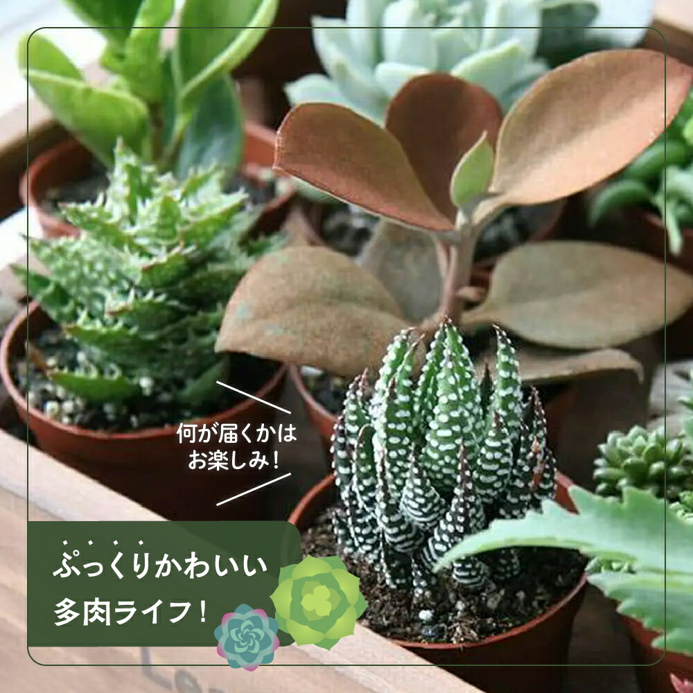 群馬県千代田町の画像2