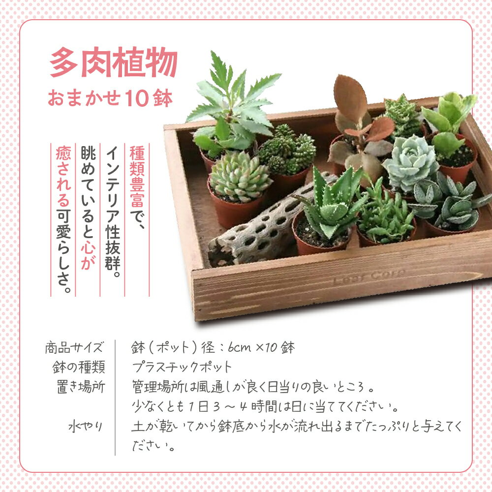 群馬県千代田町の画像3