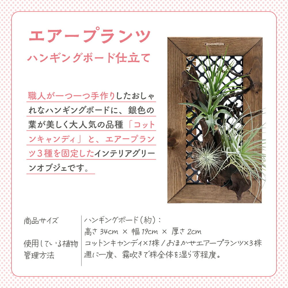 群馬県千代田町の画像3