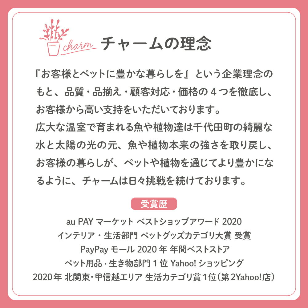 群馬県千代田町の画像2