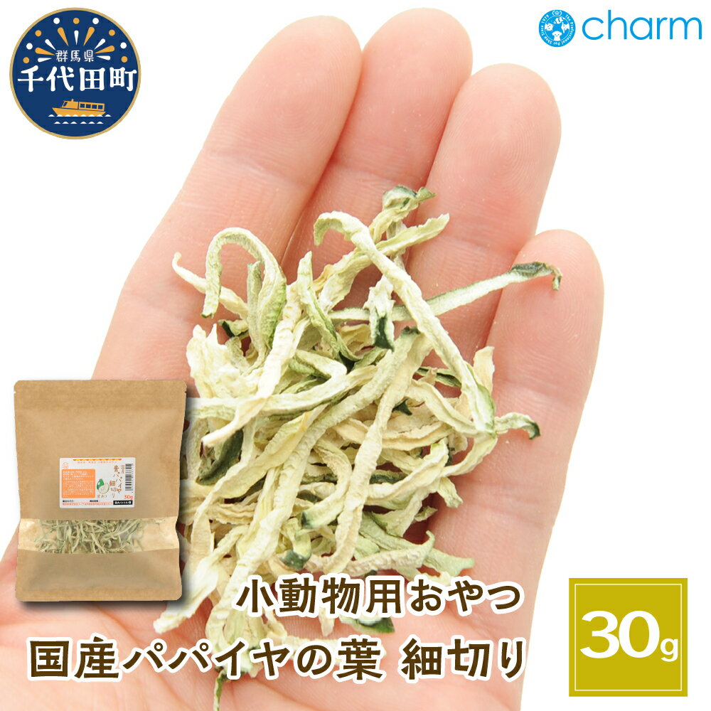 8位! 口コミ数「0件」評価「0」USAYAMA 国産 パパイヤ 細切り 30g ペット用品 群馬県 千代田町 食物繊維 青パパイヤ　ビタミン ウサギ モルモット チンチラ ･･･ 