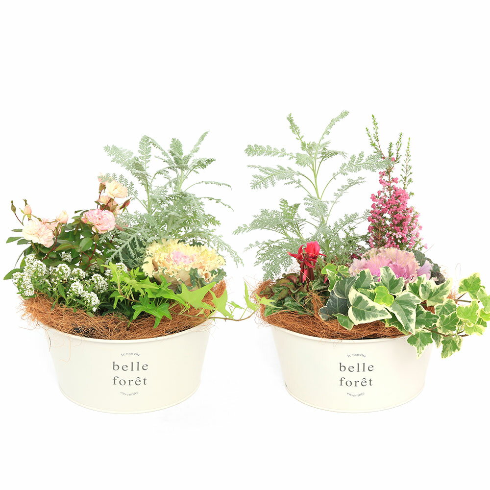 群馬県千代田町の画像2