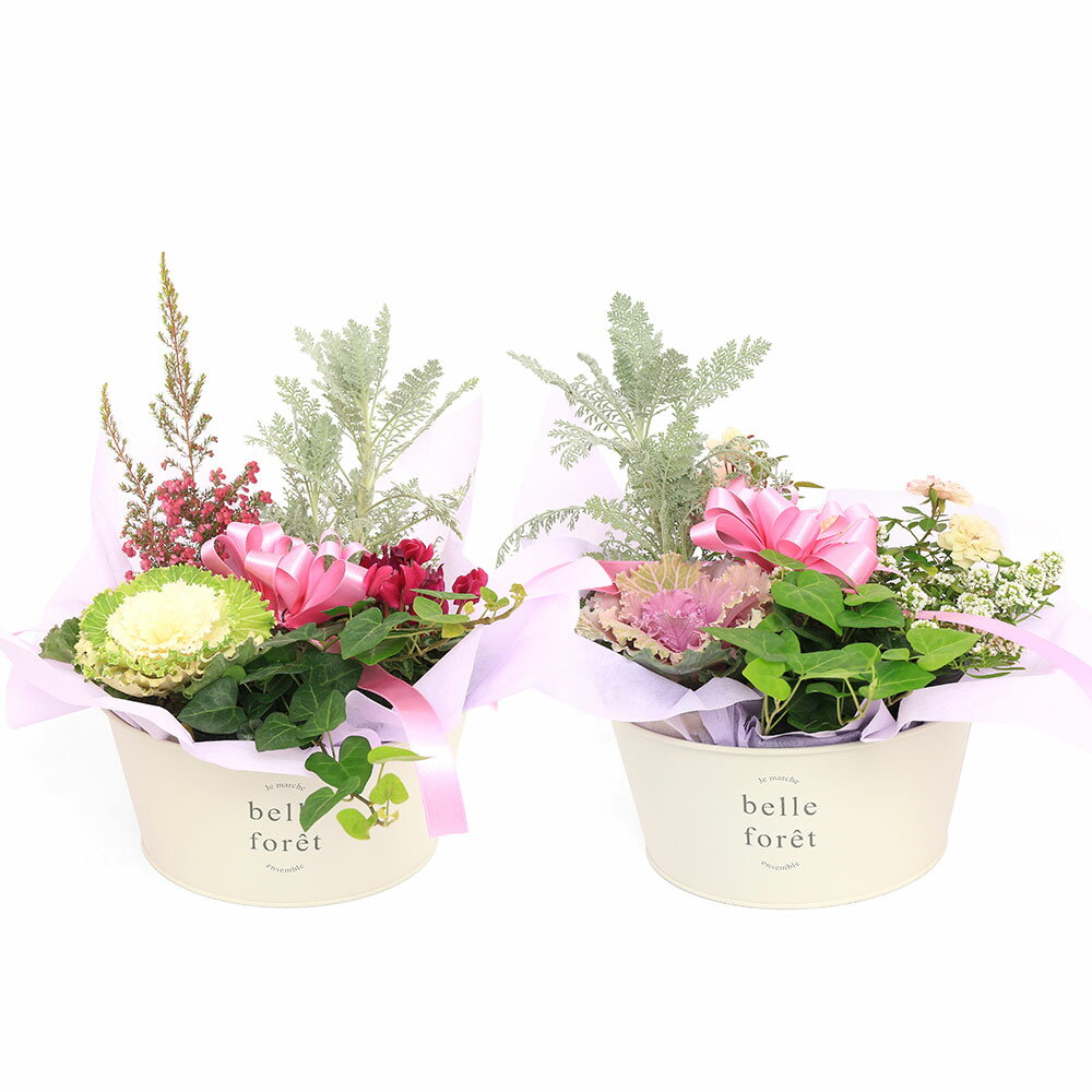 群馬県千代田町の画像2