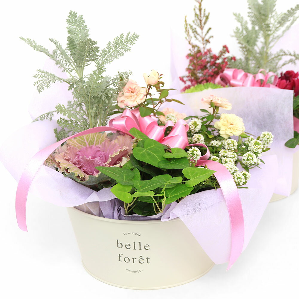 群馬県千代田町の画像3