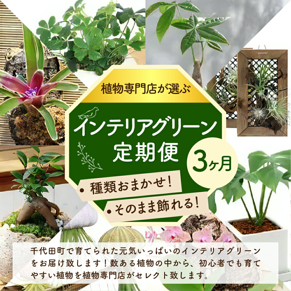 群馬県千代田町の画像2