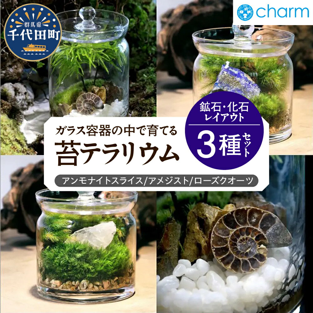 苔テラリウム 鉱石 化石 レイアウト 3種セット アンモナイトスライス アメジスト ローズクオーツ 群馬県千代田町 インテリア ナチュラル 植物 リラクゼーション 室内栽培 プレゼント ギフト 贈答用 送料無料 趣味 人気 オススメ 初心者 株式会社チャーム
