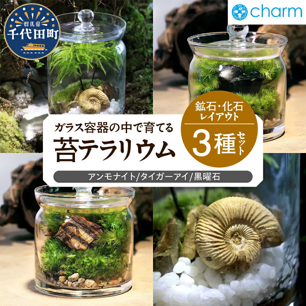 苔テラリウム 鉱石 化石 レイアウト 3種セット アンモナイト タイガーアイ 黒曜石 群馬県千代田町 インテリア ナチュラル 植物 リラクゼーション 室内栽培 プレゼント ギフト 贈答用 送料無料 趣味 人気 オススメ 初心者 玄関 キッチン 株式会社チャーム
