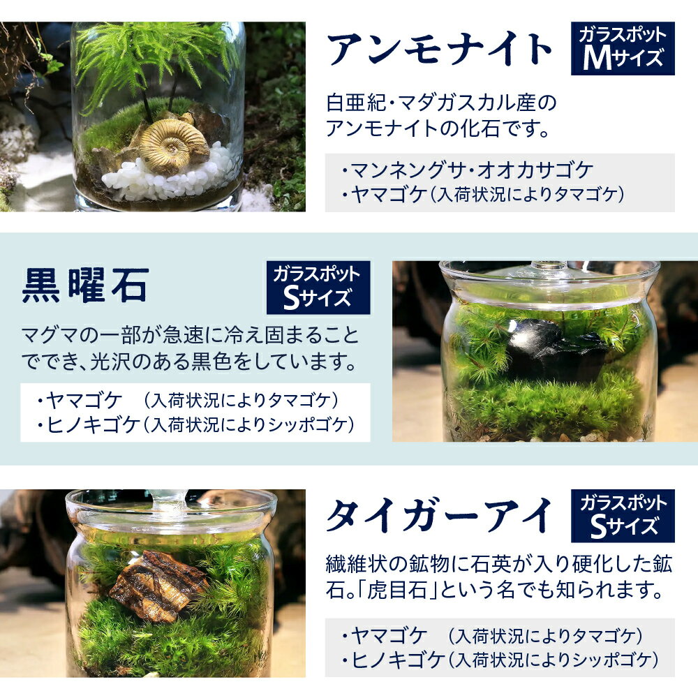 群馬県千代田町の画像3