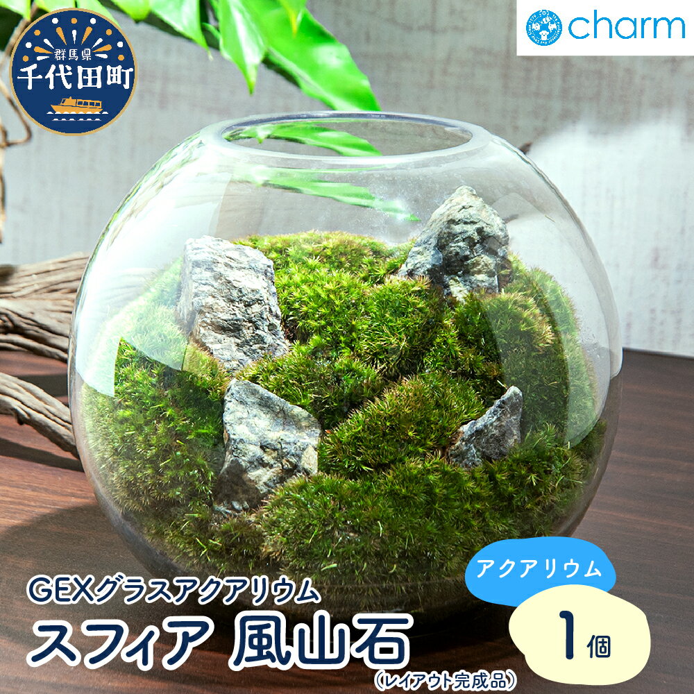 【ふるさと納税】観葉植物 GEX グラスアクアリウム スフィア 風山石 レイアウト完成品 1個 インテリア...