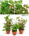 群馬県千代田町の画像2