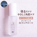 【ふるさと納税】アースハート SC リッチピール 30ml ピーリング 導入液 美容液 角質ケア スキンケア 毛穴ケア 水不使用 低刺激 日用品 群馬県 千代田...