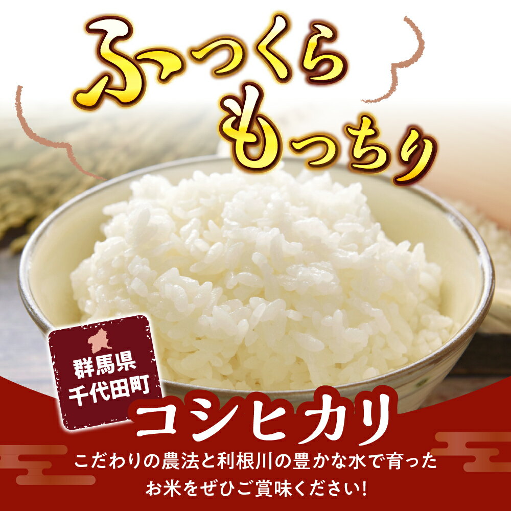 群馬県千代田町の画像2