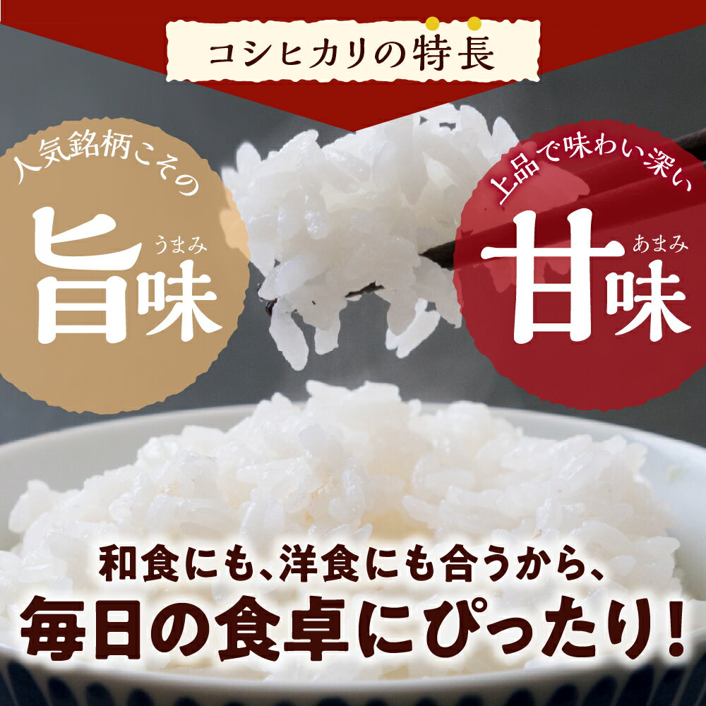 群馬県千代田町の画像3