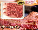 【ふるさと納税】No.015 上州牛(サーロイン)約750g...