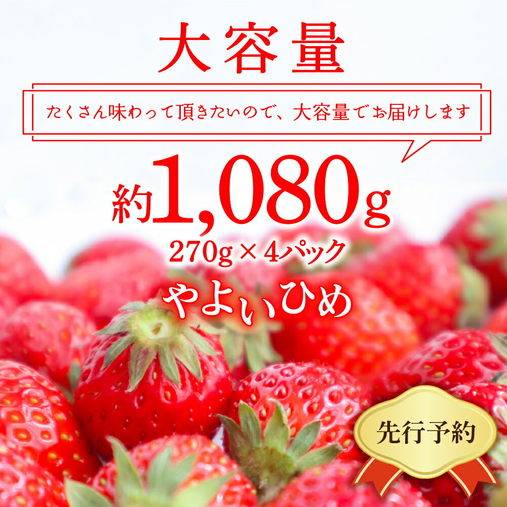 【ふるさと納税】【 先行予約 】 いちご 「 やよいひめ 」約270g×4パック 《 発送時期が選べる / 1月 2月 3月 4月 5月 》 群馬県 千代田町 大粒 完熟収穫 大容量 新鮮 数量限定 甘い 贅沢 ご褒美 イチゴ ストロベリー 贈答 贈り物 ギフト プレゼント 果物 春 旬