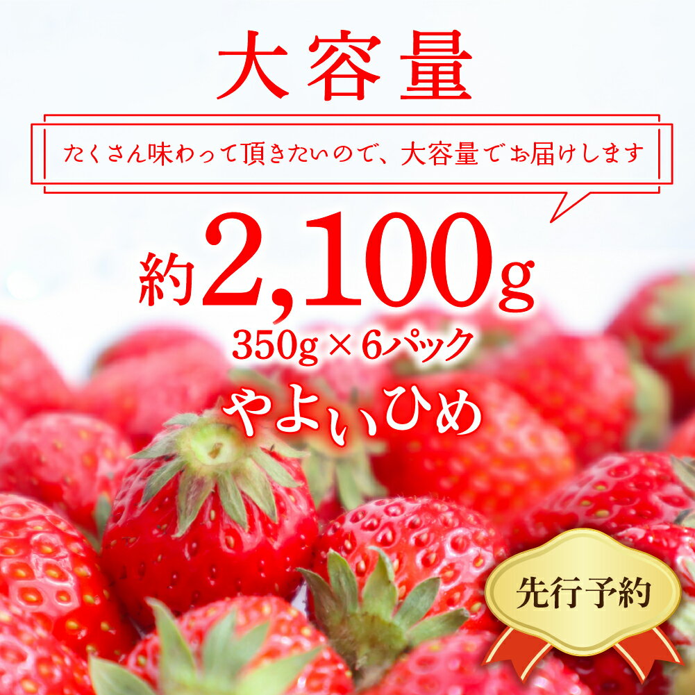 【ふるさと納税】【 先行予約 】 いちご 「 やよいひめ 」約350g×6パック 《 発送時期が選べる / 1月 2月 3月 4月 5月 》 群馬県 千代田町大粒 完熟収穫 大容量 新鮮 数量限定 甘い 贅沢 ご褒美 イチゴ ストロベリー 贈答 贈り物 ギフト プレゼント フルーツ 春 旬