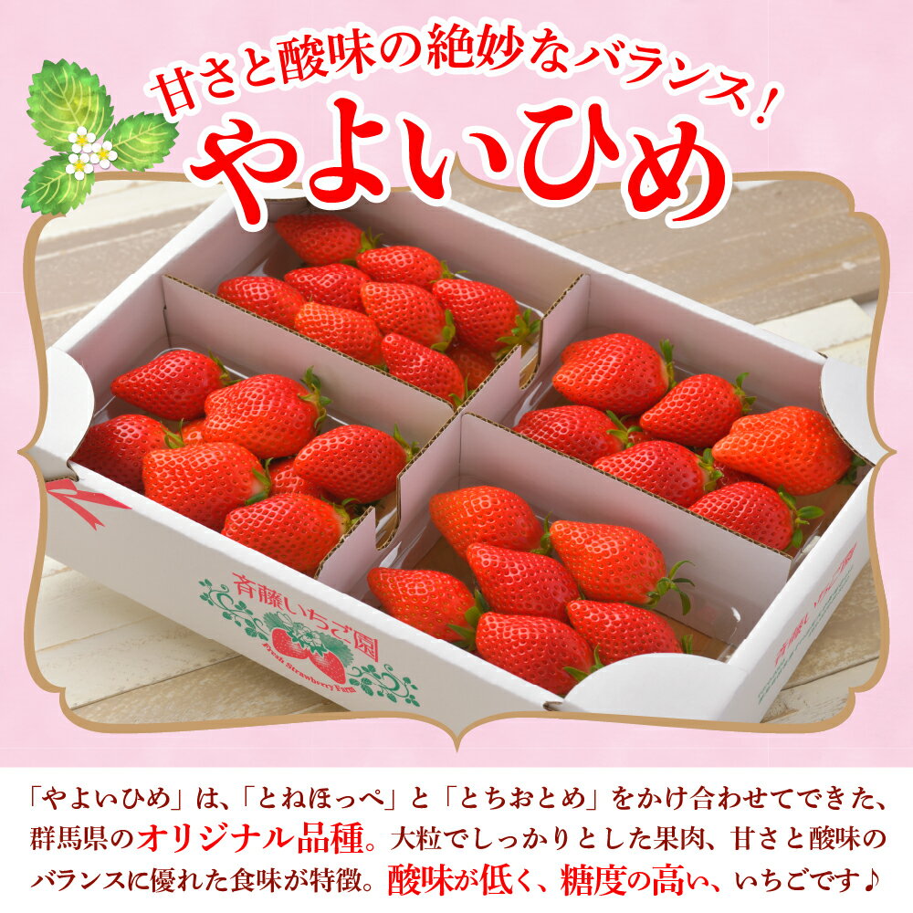 群馬県千代田町の画像2