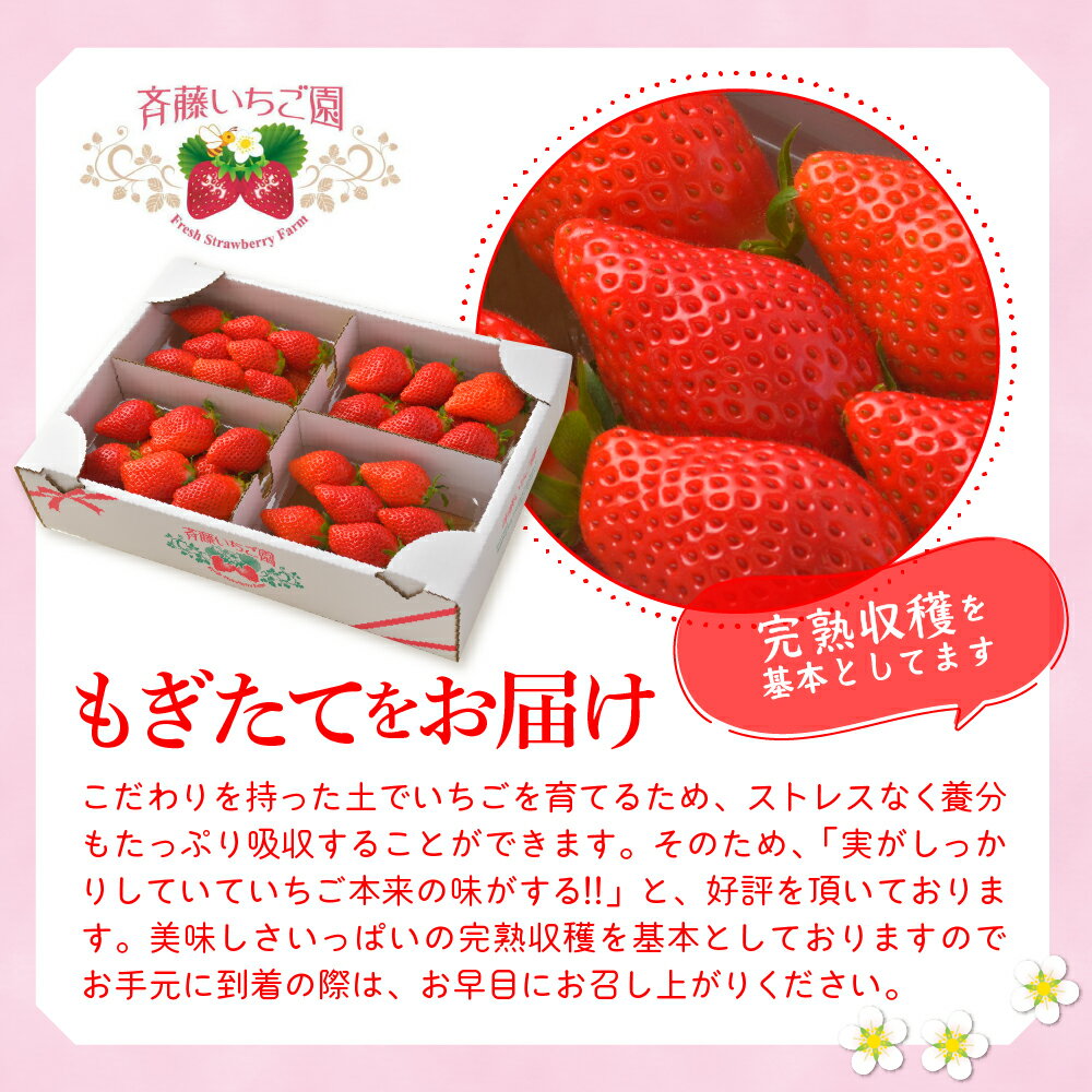 群馬県千代田町の画像3