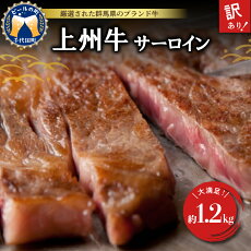 【ふるさと納税】No.078上州牛ステーキ（サーロイン）約1.2kg