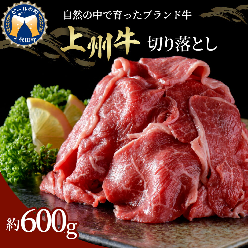 17位! 口コミ数「0件」評価「0」牛肉 切り落とし 国産 上州牛 600g 切落し 肉 お肉 冷凍 牛丼 カレー ビーフシチュー 肉じゃが 食品 グルメ 送料無料 お取り寄せ･･･ 