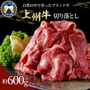 【ふるさと納税】牛肉 切り落とし 国産 上州牛 600g 切落し 肉 お肉 冷凍 牛丼 カレー ビーフシチュー 肉じゃが 食品 グルメ 送料無料 お取り寄せ ギフト 贈り物 プレゼント キャンプ ソロキャ…