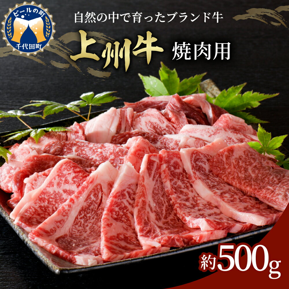 4位! 口コミ数「0件」評価「0」牛肉 焼肉 上州牛 国産 肩ロース 500gブランド牛 バーベキュー BBQ 食品 冷凍 グルメ キャンプ ソロキャン アウトドア 送料無料･･･ 