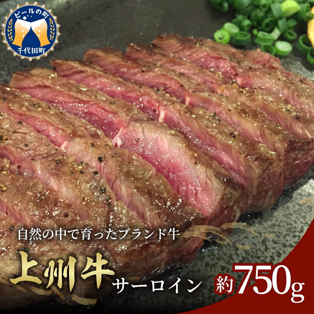 15位! 口コミ数「0件」評価「0」牛肉 ステーキ サーロイン 国産 上州牛 750gブランド牛 肉 冷凍 送料無料 お取り寄せ ギフト 贈り物 贈答用 プレゼント おすすめ ･･･ 